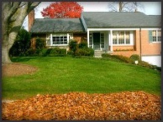 Leaf Raking and Removal Annapolis, MD