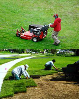 Sod being installed in Annapolis, MD.